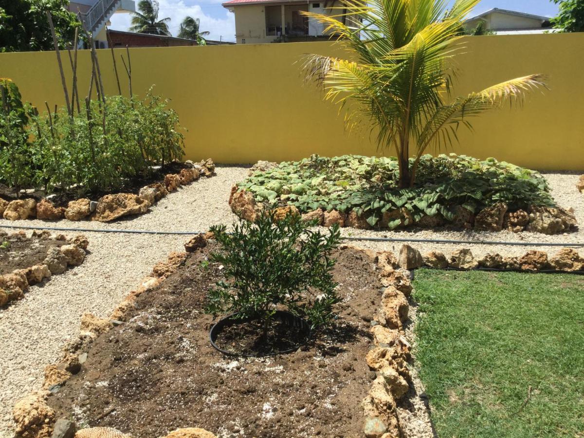 Cc Best Villas Tobago Lowlands Buitenkant foto
