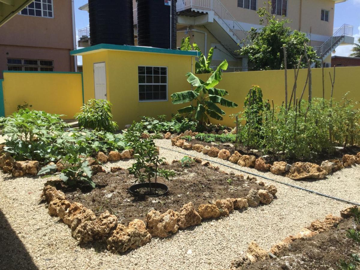 Cc Best Villas Tobago Lowlands Buitenkant foto